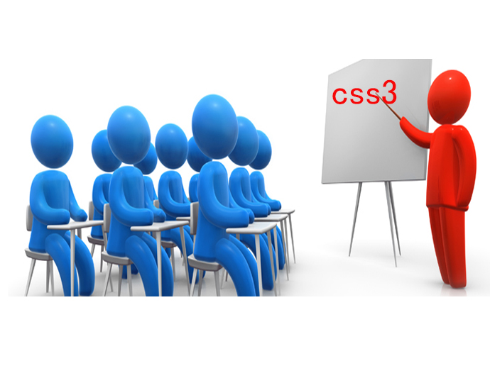 professional css3 institute